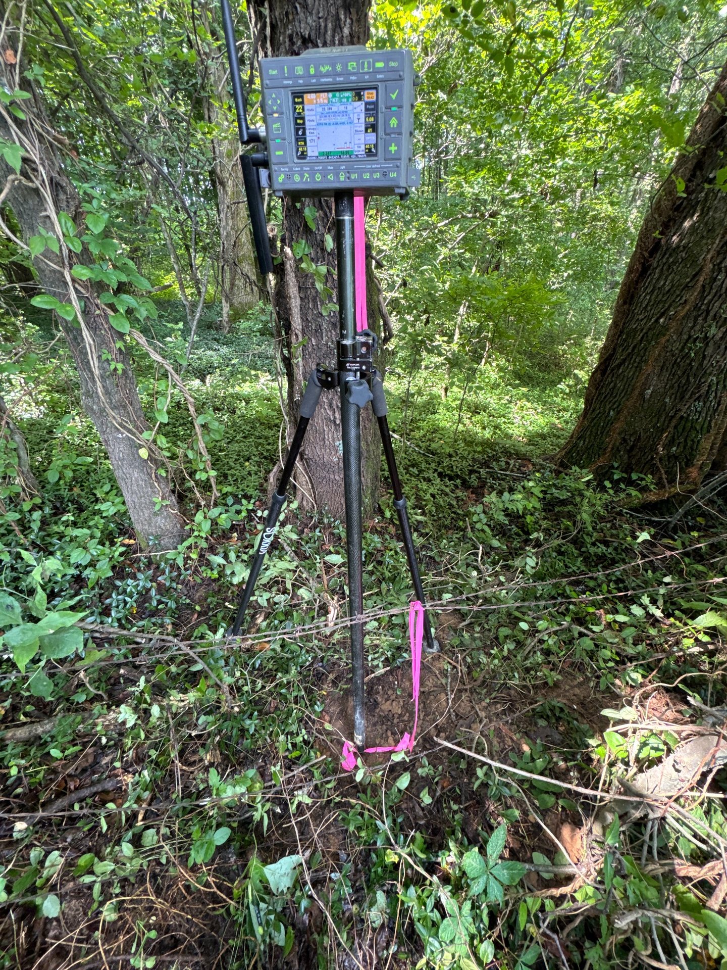 Boundary survey in dense woods